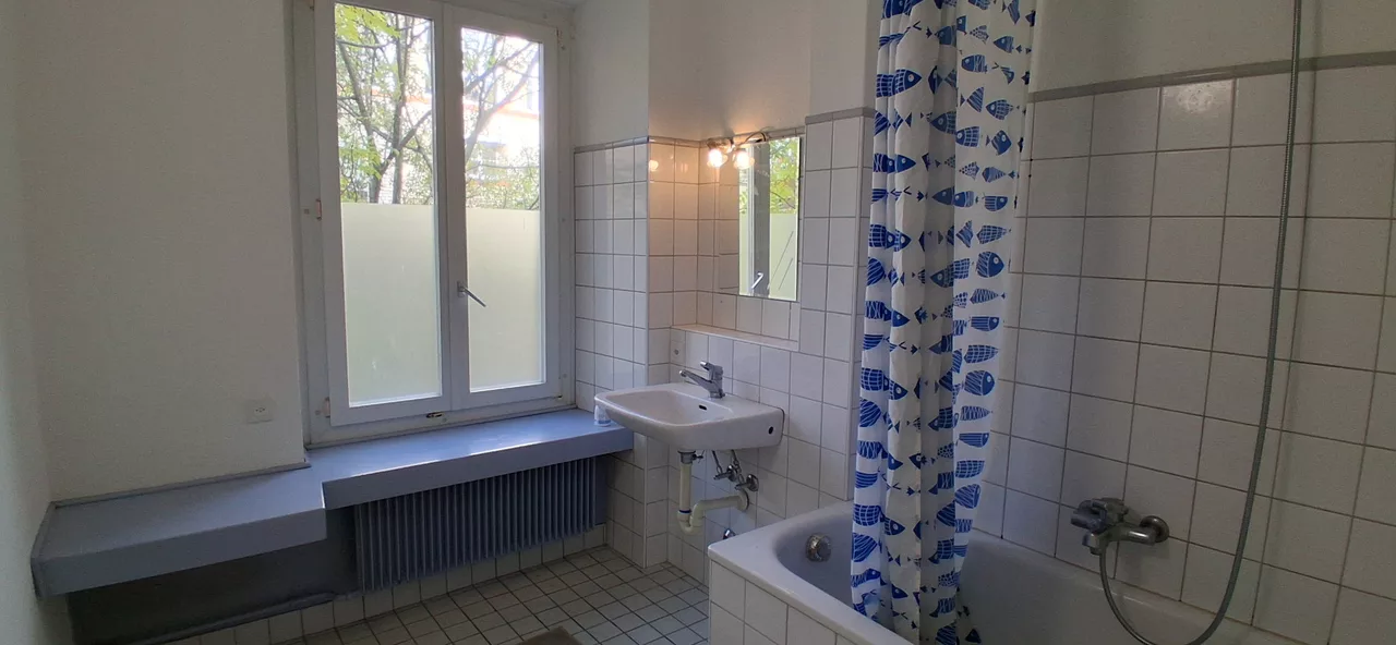 Möbliertes WG-Zimmer an der Rotwandstrasse in Zürich zur Miete – Bad