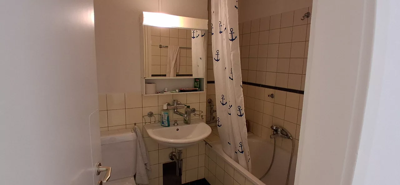 Möbliertes WG-Zimmer an der Langgrütstrasse in Zürich zur Miete – Bad