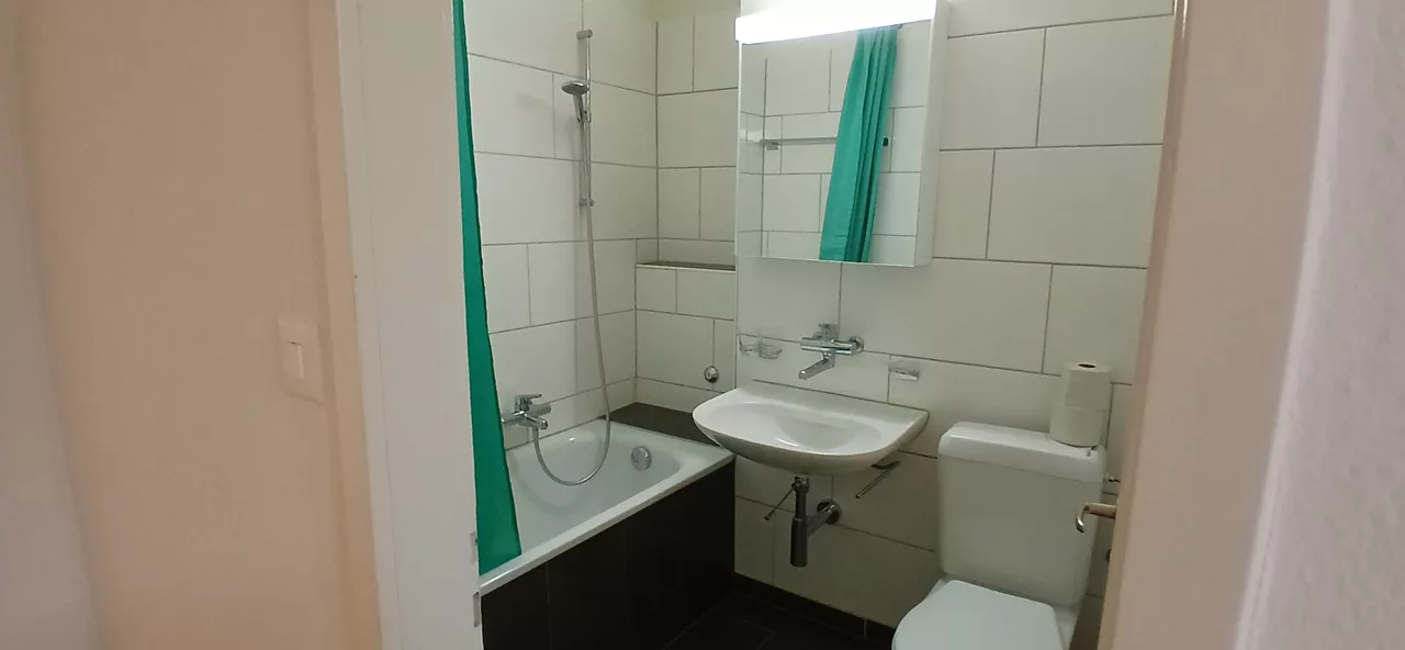 Möbliertes WG-Zimmer an der Langgrütstrasse in Zürich zur Miete – Bad