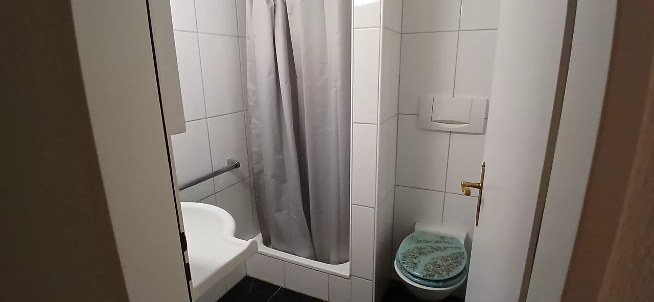 Möbliertes WG-Zimmer an der Rieterstrasse in Zürich zur Miete – Bad