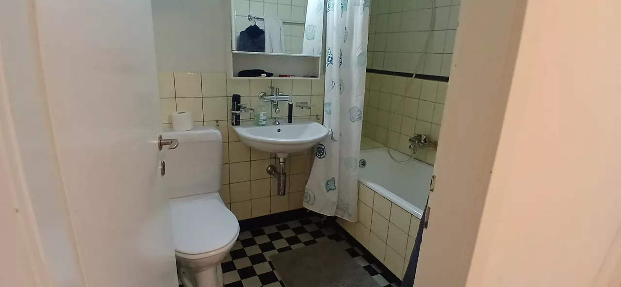 Möbliertes WG-Zimmer an der Langgrütstrasse in Zürich zur Miete – Bad