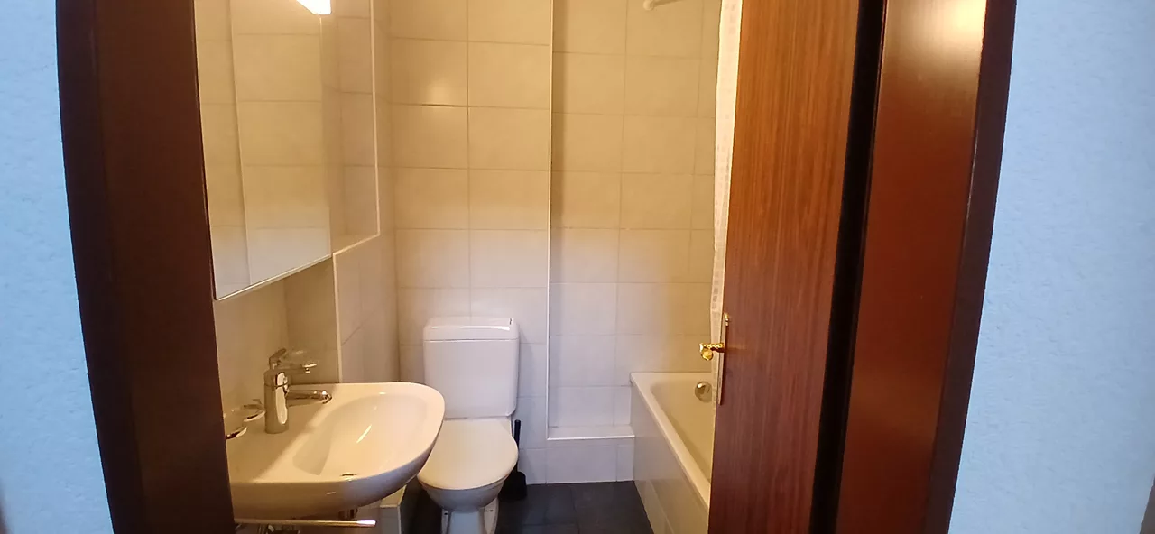 Möbliertes WG-Zimmer an der Minervastrasse in Zürich zur Miete – Bad