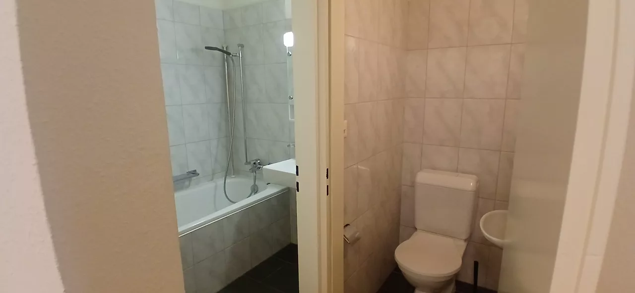 Möbliertes WG-Zimmer an der Minervastrasse in Zürich zur Miete – Bad