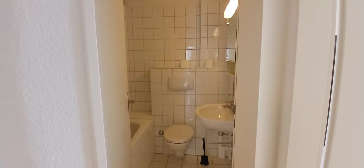 Möbliertes WG-Zimmer an der Minervastrasse in Zürich 15 m² zur Miete – Bad