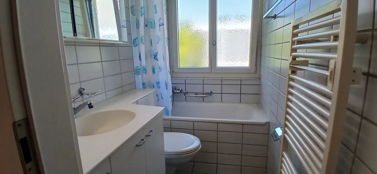 Möbliertes WG-Zimmer an der Töpferstrasse in Zürich zur Miete – Bad