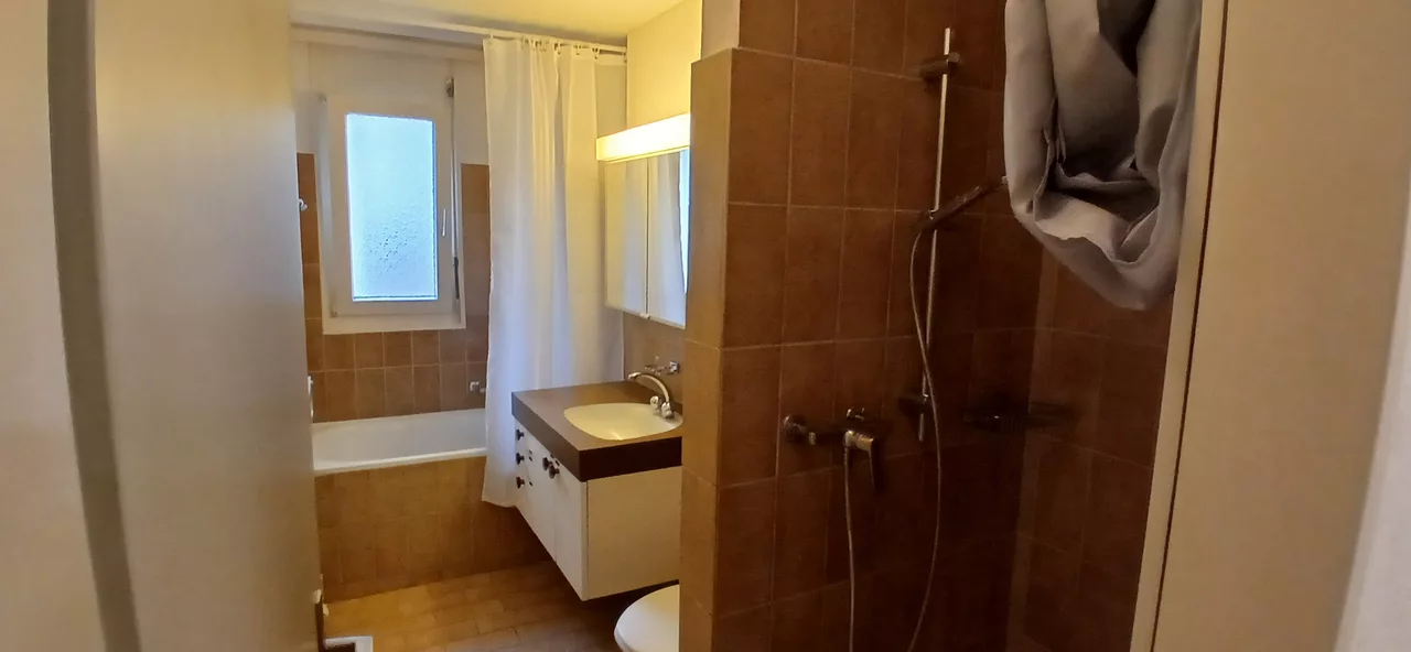 Möbliertes WG-Zimmer an der Felsenstrasse in Zürich 9 m² zur Miete – Bad