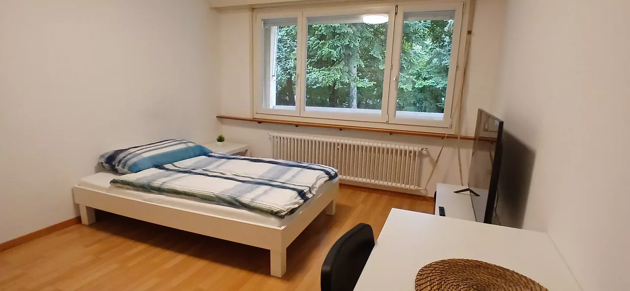 Möbliertes WG-Zimmer an der Langgrütstrasse in Zürich zur Miete – Zimmer