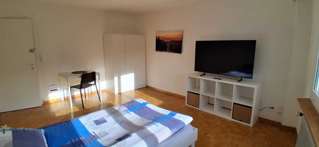 Möbliertes WG-Zimmer an der Langgrütstrasse in Zürich zur Miete – Zimmer