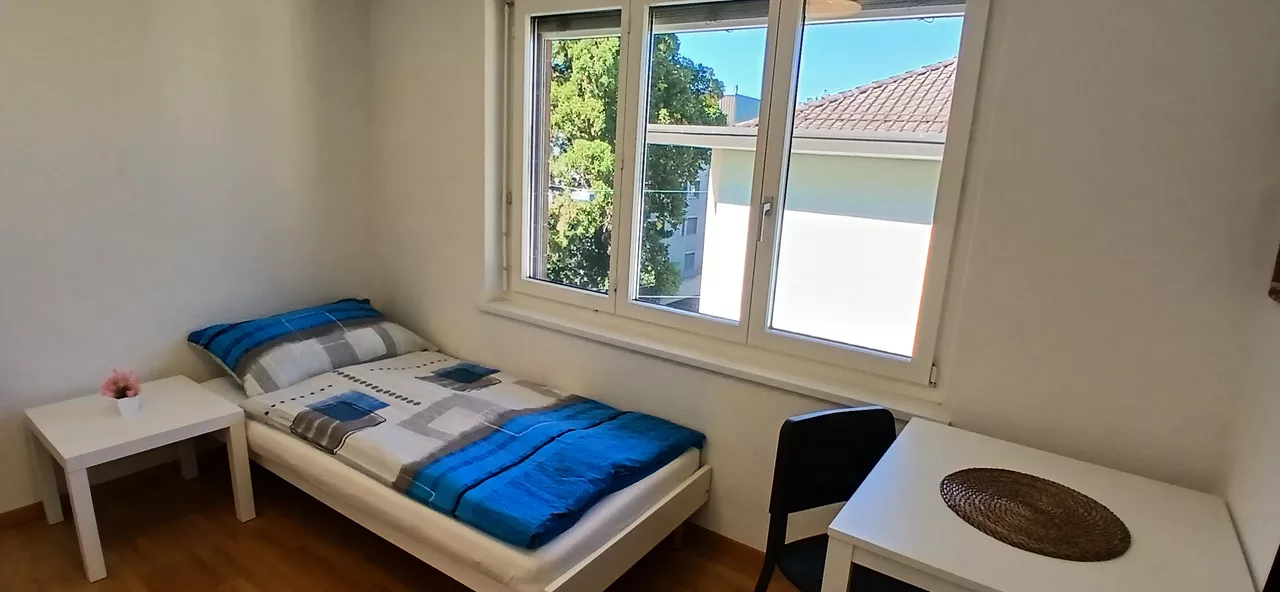 Möbliertes WG-Zimmer an der Rieterstrasse in Zürich zur Miete – Zimmer