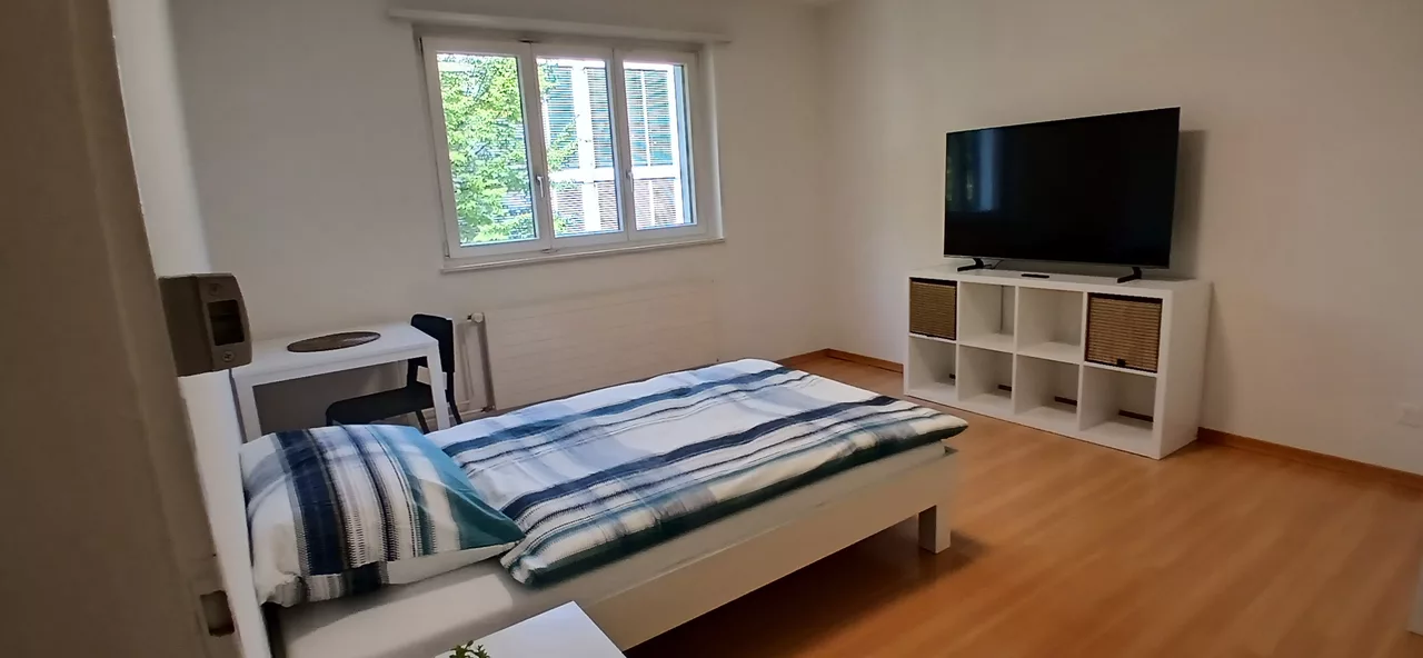 Möbliertes WG-Zimmer an der Töpferstrasse in Zürich zur Miete