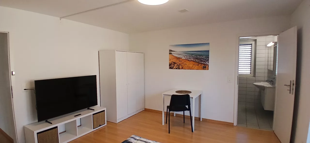 Möbliertes WG-Zimmer an der Töpferstrasse in Zürich zur Miete – Zimmer