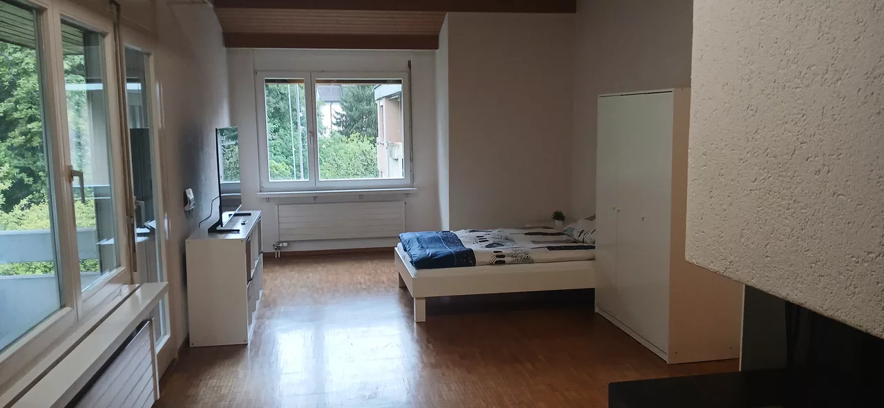 Möbliertes WG-Zimmer an der Felsenstrasse in Zürich 27 m² zur Miete