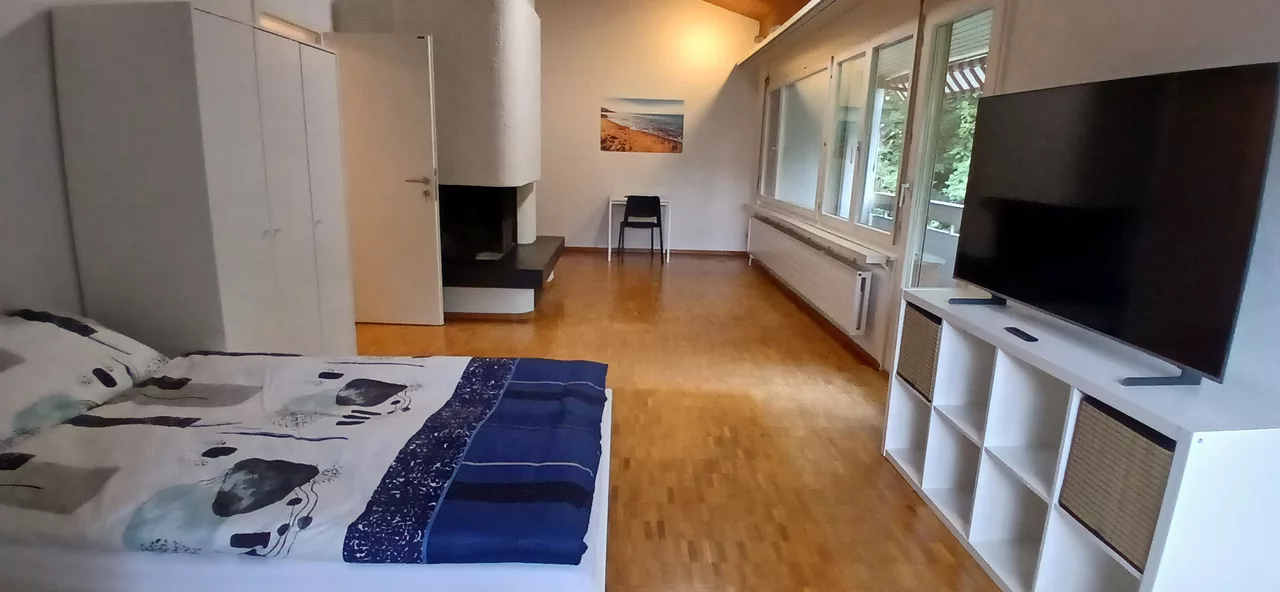Möbliertes WG-Zimmer an der Felsenstrasse in Zürich 27 m² zur Miete – Zimmer