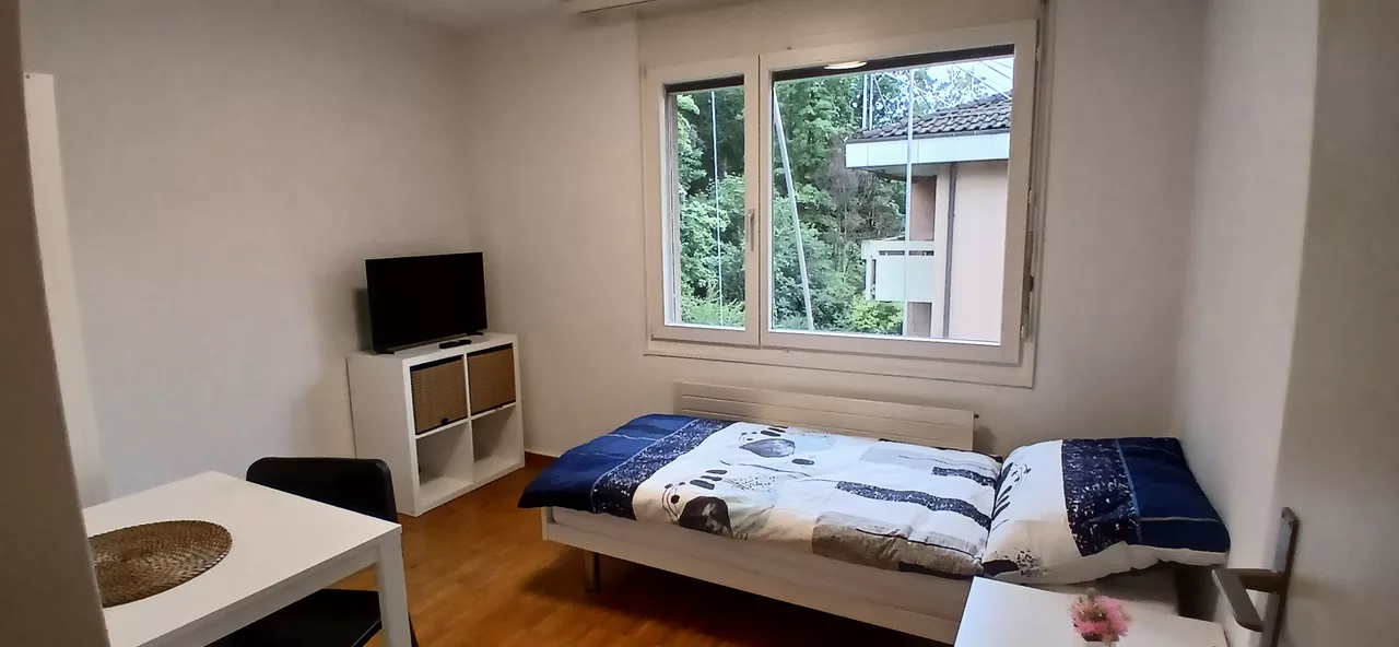 Möbliertes WG-Zimmer an der Felsenstrasse in Zürich 9 m² zur Miete