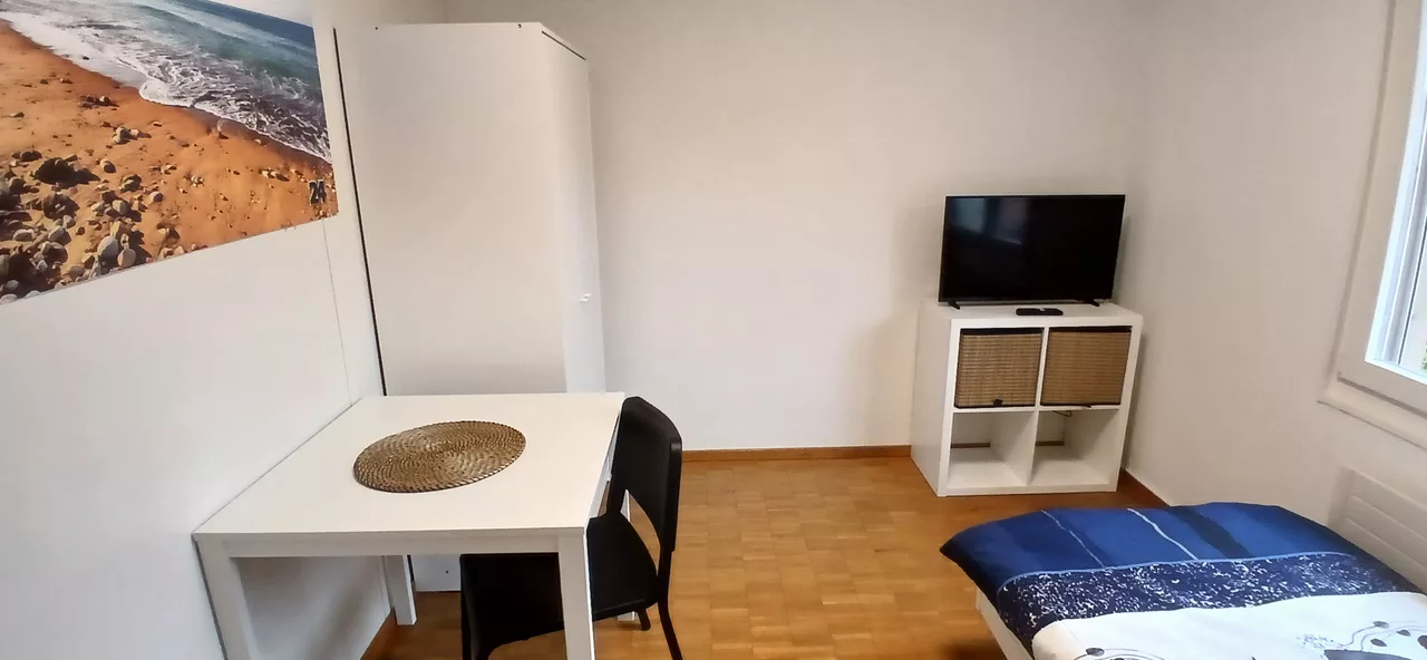 Möbliertes WG-Zimmer an der Felsenstrasse in Zürich 9 m² zur Miete – Zimmer