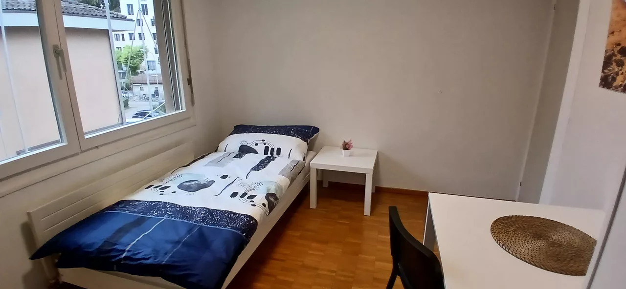Möbliertes WG-Zimmer an der Felsenstrasse in Zürich 9 m² zur Miete – Zimmer
