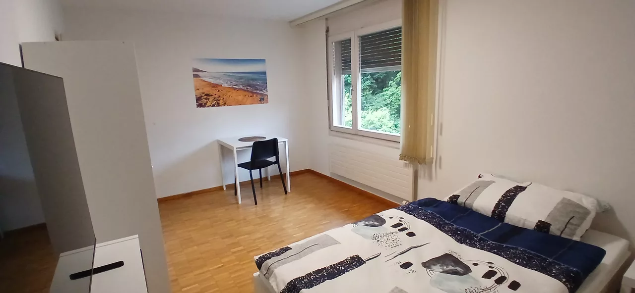 Möbliertes WG-Zimmer an der Felsenstrasse in Zürich 15 m² zur Miete – Zimmer