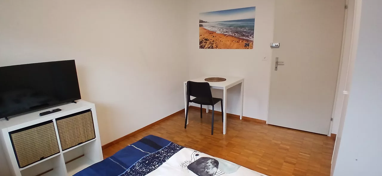 Möbliertes WG-Zimmer an der Felsenstrasse in Zürich 9 m² zur Miete – Zimmer