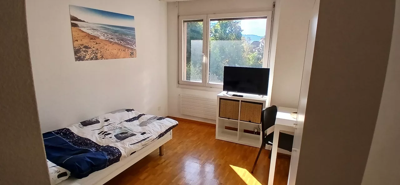 Möbliertes WG-Zimmer an der Felsenstrasse in Zürich 11 m² zur Miete